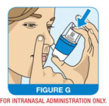 Hold your breath and press down firmly and completely on the canister to release 1 spray - Illustration