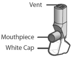 The white cap that covers the mouthpiece of the inhaler - Illustration