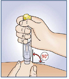 Position the uncapped transparent end of the Rasuvo auto-injector
perpendicular (at a 90 degree angle) to the skin - Illustration
