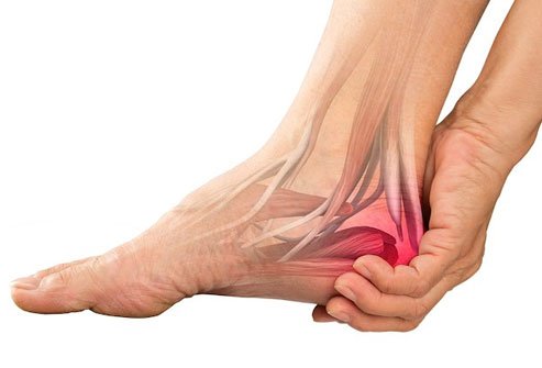 The tibial nerve inside gives sensation to the bottom of the foot.