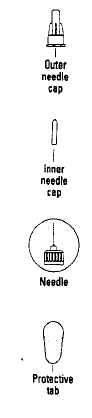 Parts of Pen - Illustration