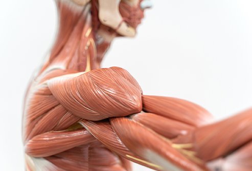  What Is Rhabdomyolysis?