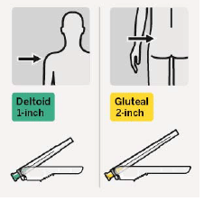 Inject entire amount of diluent from syringe into the vial - Illustration