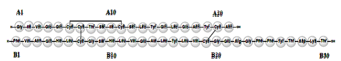 Insulin Aspart - Structural Formula - Illustration