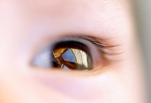 Newborn infants' best visual experience is limited to close distances.