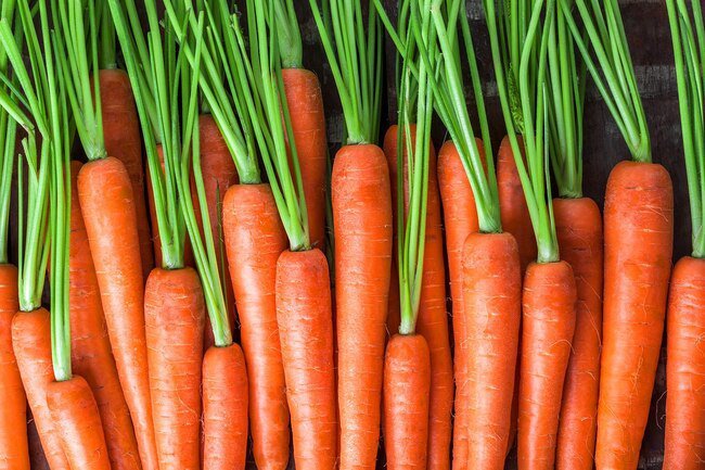 Trim the green tops off of carrots before you store them in the fridge.