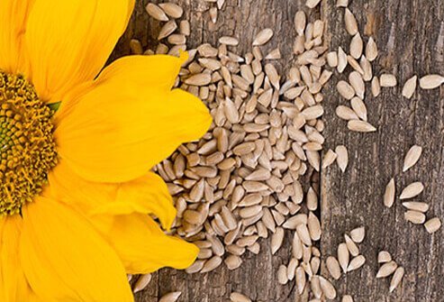 Sunflower seeds are high in healthy fats, as well as: proteins, fiber, phytochemicals, selenium, copper, and magnesium.