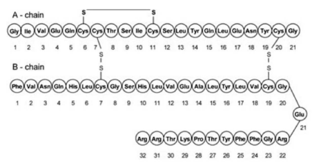 Semglee™(insulin glargine) Structrual Formula Illustration