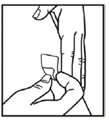 Choosing your injection site: SEMGLEE is injected under the
skin  - Illustration