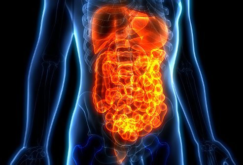 Symptoms of Septic Shock
