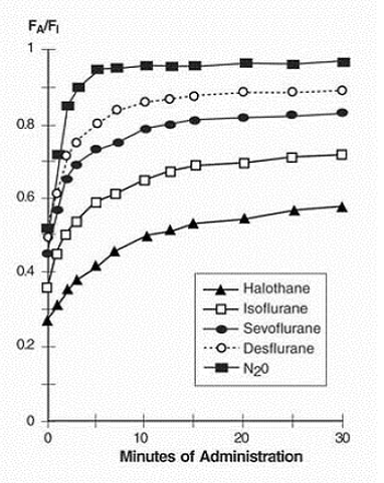 Ratio of Concentration of Anesthetic in Alveolar Gas to Inspired Gas - Illustration