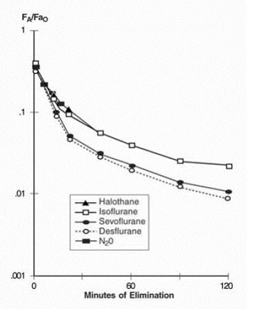 Concentration of Anesthetic in Alveolar Gas Following Termination of Anesthesia Protein - Illustration