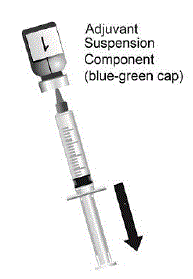 Withdraw the entire contents of the vial containing the adjuvant suspension component (liquid) by slightly tilting the vial. Vial 1 of 2 - Illustration