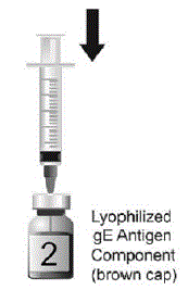 Slowly transfer entire contents of syringe into the lyophilized gE antigen component vial (powder). Vial 2 of 2. - Illustration
