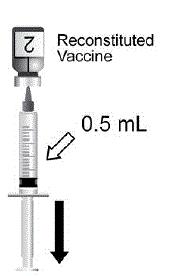 After reconstitution, withdraw 0.5 mL from the vial containing the reconstituted vaccine and administer intramuscularly. - Illustration