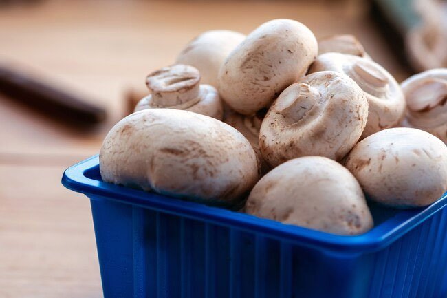 Clean store-bought mushrooms with a damp cloth.