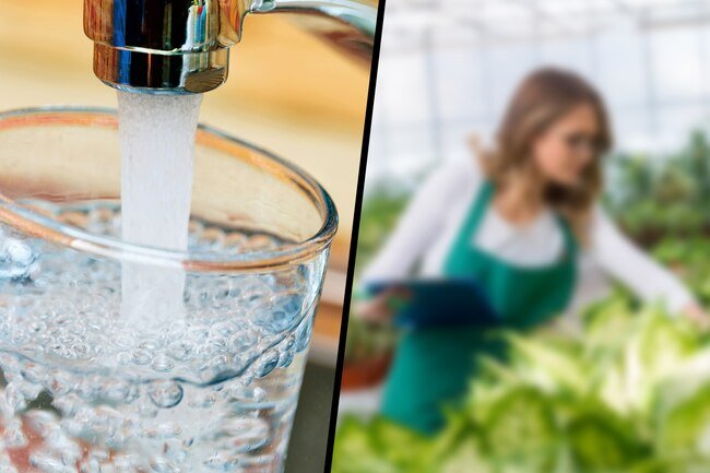 Being overly thirsty and having blurred vision are two signs of diabetes.
