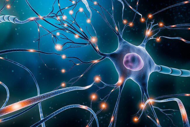 Muscle spasticity is a common muscle symptom when you have multiple sclerosis.