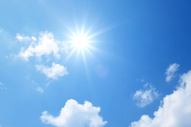 Your skin makes vitamin D from sunlight.