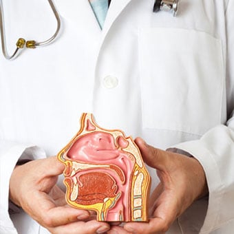 A doctor explaining complications of sinus infections using a model of a human head.