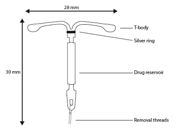 The components of Skyla - Illustration