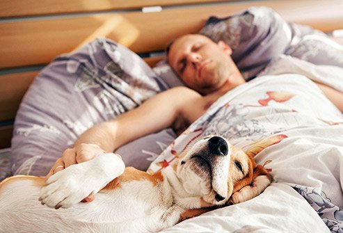 Sleep experts refer to this as the supine position.