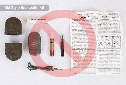 Scientists have determined these snakebite treatments don't work.