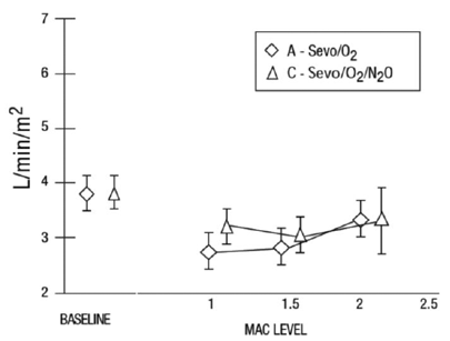 Cardiac Index - Illustration