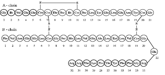 SOLIQUA® 100/33 (insulin glargine) Structural Formula Illustration