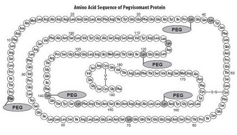 SOMAVERT (pegvisomant) amino acid sequence - Illustration