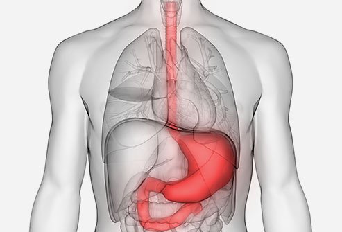 Stomach cancer is hard to detect in the early stages. 
