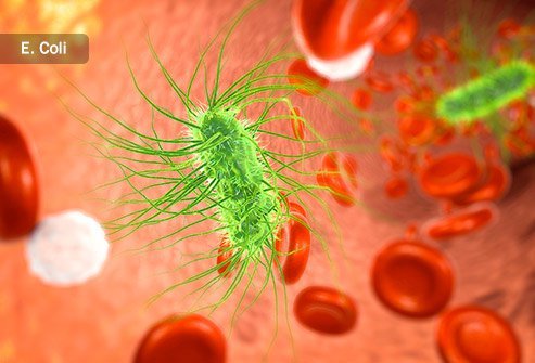 Hemolytic uremic syndrome is a rare potential complication of gastroenteritis.