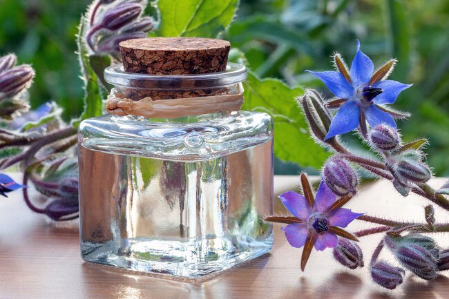 This extract from seeds of the borago plant is high in gamma linolenic acid, a fatty acid that fights inflammation in the body.