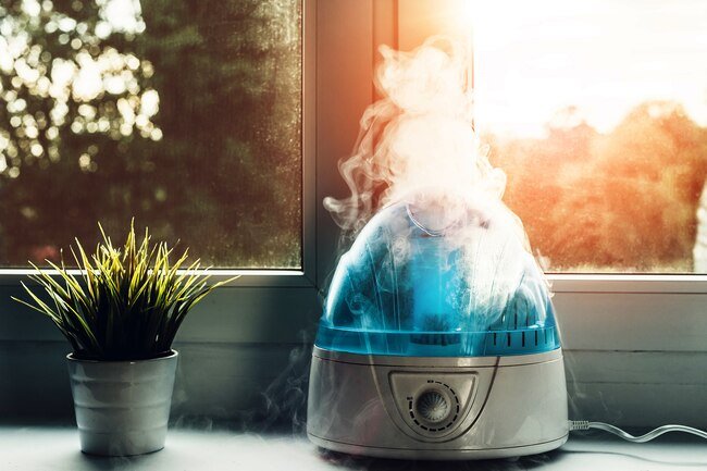 Fungus that may grow in humidifiers, air conditioners, or heating systems may affect your lungs.