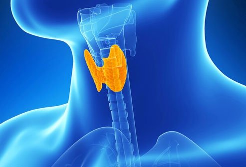 A sluggish thyroid may make you feel itchy.