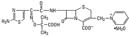 TAZICEF® (ceftazidime) Structural Formula Illustration