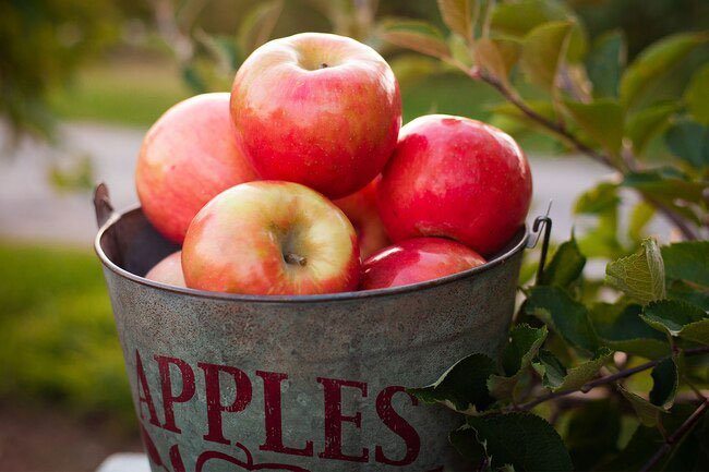 The old cliché exists for a reason: An apple a day benefits your whole body in multiple ways.