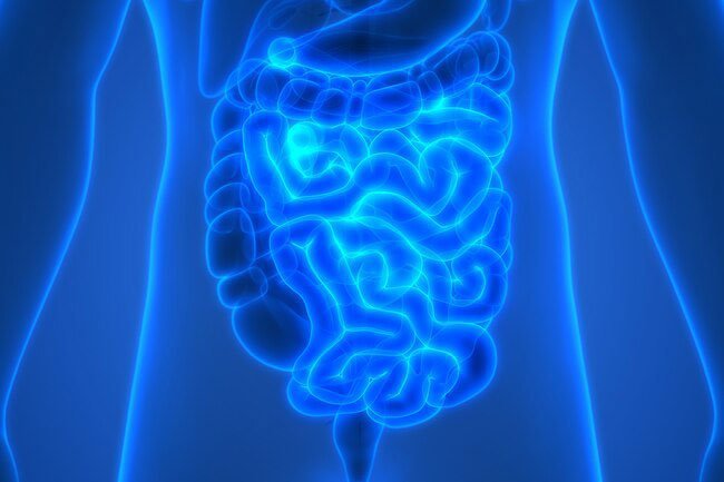 One group of researchers found that people who ate at least one apple a day were a third less likely to get colon cancer than those who did not.