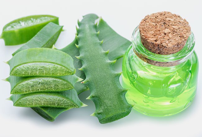 Agave can help prevent and reduce the effects of heart disease and diabetes. But the natural sweetener isn't a healthy choice, even though it has fewer side effects than conventional sugar.
