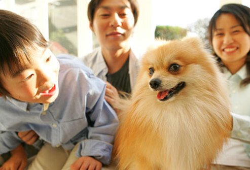 Family with Pomeranian dog