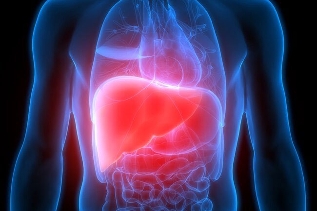If the liver or kidneys don't function properly it may cause urine to smell.