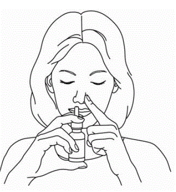 Keep the bottle
upright and carefully place the spray pump tip ¼ to ½ inch into your other nostril - Illustration