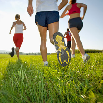 Tick bites are often mild, but the serious illness can occur through tick-borne diseases.
