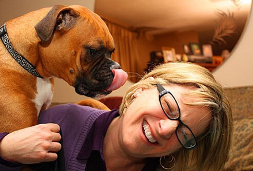 Exposure to pets in childhood decreases the risk of allergies.