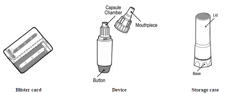 Storage case - Illustration