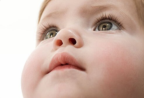 Toddler looking up
