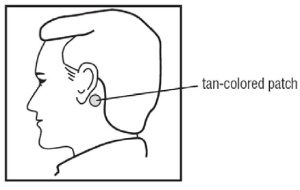 Apply the metallic adhesive surface of Transderm Scop firmly to the dry area of skin behind your ear - Illustration