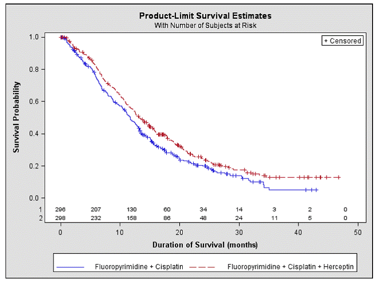 Updated Overall Survival in Patients with
Metastatic Gastric Cancer - Illustration