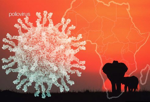 If you're planning an African safari, you may need a polio booster.