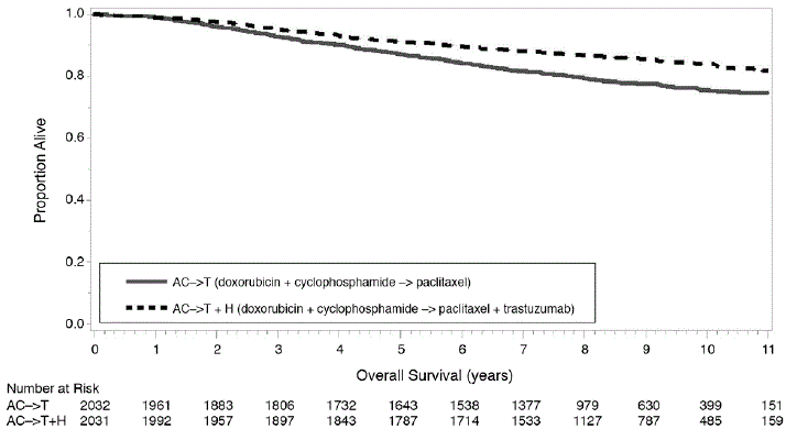 Duration of Overall Survival in Patients
with Adjuvant Treatment of Breast Cancer (Studies 1 and 2) - Illustration